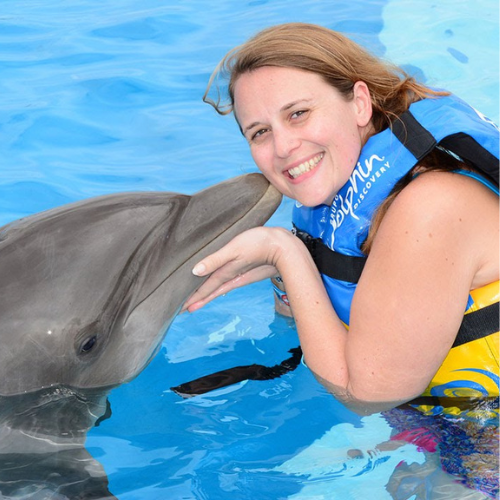All Tours & Excursions 10 Swim with Dolphins in Punta Cana