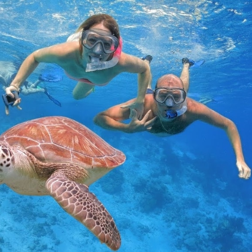 All Tours & Excursions 5 Turtle Sanctuary Tour & Island Hopping to Saona