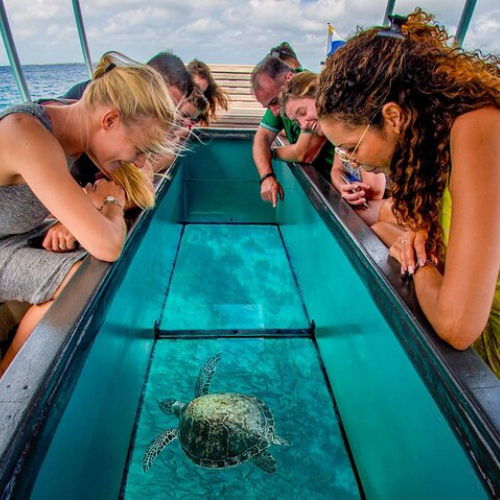 Glass Bottom Boat Tour in Punta Cana