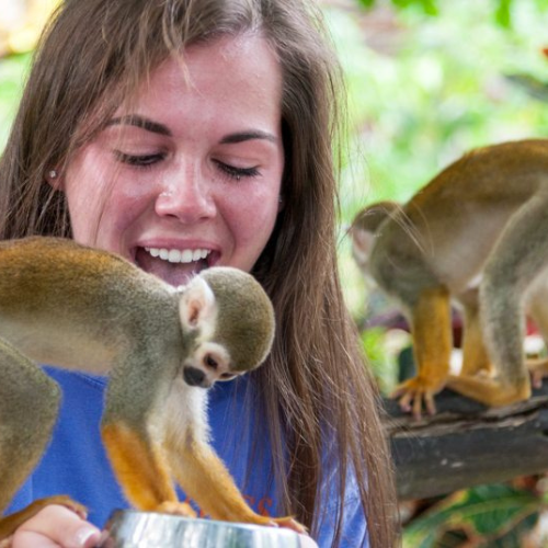 Monkeyland Tour in Punta Cana – Squirrel Monkeys & Plantation Experience