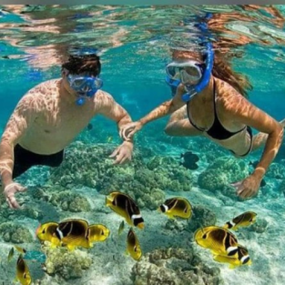 Turtle Sanctuary Tour & Island Hopping to Saona