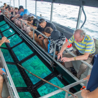Glass Bottom Boat Tour in Punta Cana