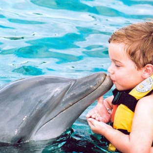 Swim with Dolphins in Punta Cana