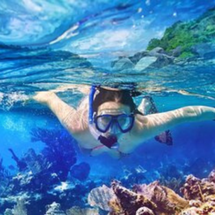 Turtle Sanctuary Tour & Island Hopping to Saona