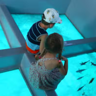 Glass Bottom Boat Tour in Punta Cana