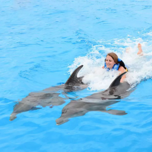 Swim with Dolphins in Punta Cana