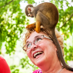 Monkeyland Tour in Punta Cana – Squirrel Monkeys & Plantation Experience
