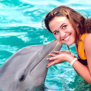 Swim with Dolphins in Punta Cana